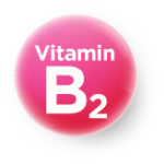 part1-VIT-Symbol-2